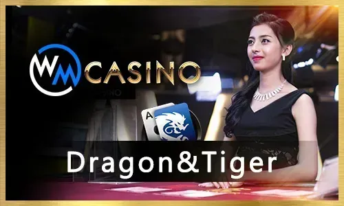 80jili Sports Betting